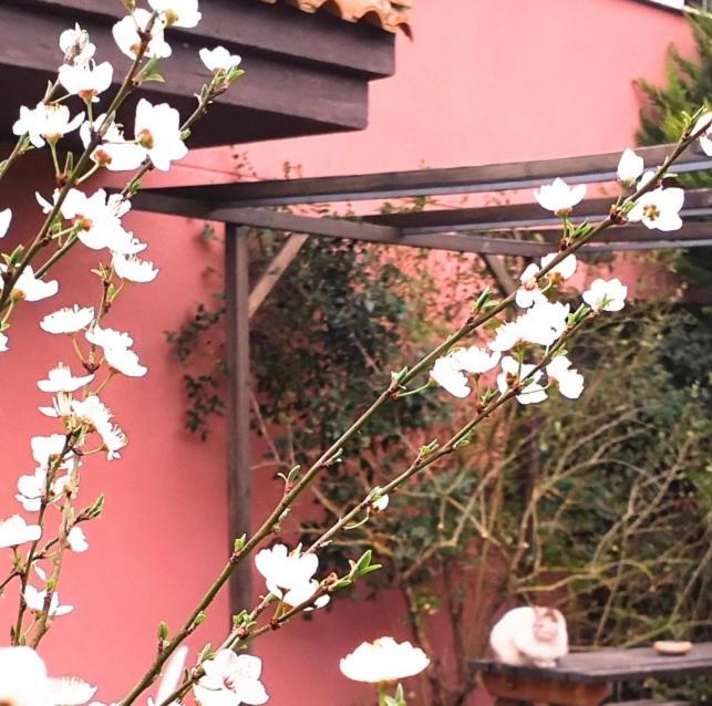 Lovely Cat'S Room Urrunaga Exterior foto